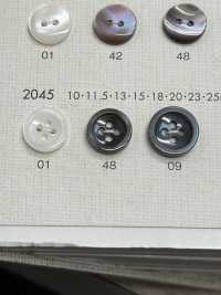 2045 DAIYA BUTTONS Shell-like Polyester Button DAIYA BUTTON Sub Photo