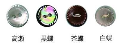 234 2-hole Rimmed Shell Button