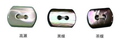 3010 Two-hole Oval Shell Button