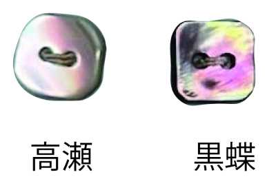 444 2-hole Rimless Shell Button