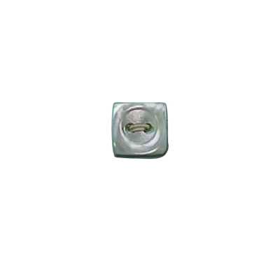 491 2-hole Rimmed Shell Button
