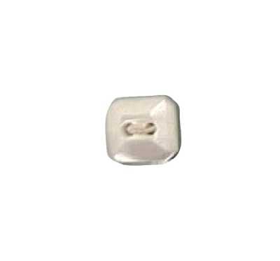 496 2-hole Square Shell Button