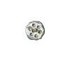 506 8-hole Shell Button