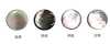 601P Poly Shank Shell Button