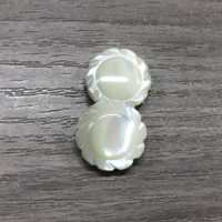 610 Round, Edged Shell Button Tomoi Sub Photo