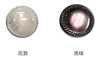 620 Round Rimmed Shell Button
