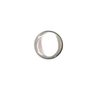 650 Back-hole Shell Button, Takase Shell