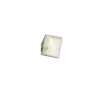 690 Square Takase Shell Button