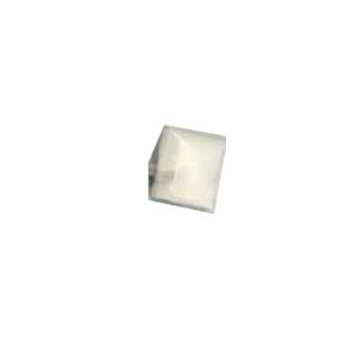 690 Square Takase Shell Button