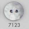 7123 Two-hole Button Made Of Polyester Resin