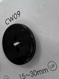 CW09 Polyester Resin 4-hole Button DAIYA BUTTON(DAIYA BUTTON) Sub Photo