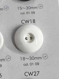 CW18 Polyester Resin 2-hole Button DAIYA BUTTON(DAIYA BUTTON) Sub Photo