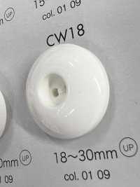 CW18 Polyester Resin 2-hole Button DAIYA BUTTON(DAIYA BUTTON) Sub Photo