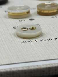 ES107G DAIYA BUTTONS Ornamental 2 Shell Polyester Button DAIYA BUTTON(DAIYA BUTTON) Sub Photo