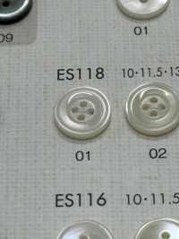 ES118 DAIYA BUTTONS Shell-like Polyester Button DAIYA BUTTON Sub Photo