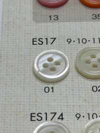 ES17 DAIYA BUTTONS Shell-like Polyester Button DAIYA BUTTON Sub Photo