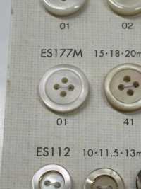 ES177M Shell BUTTONS Matte Shell-like Polyester Button DAIYA BUTTON Sub Photo