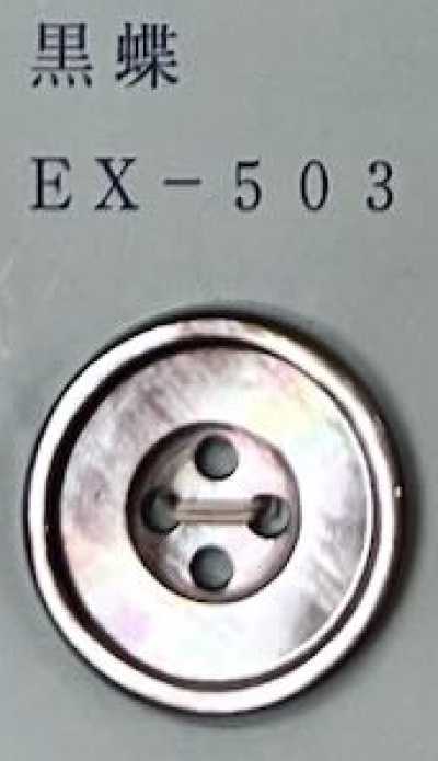 EX503 4-hole Bordered Black Mother-of-pearl Shell Button