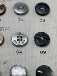 FM303 DAIYA BUTTONS Shell-like Polyester Button DAIYA BUTTON(DAIYA BUTTON) Sub Photo