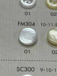 FM304 DAIYA BUTTONS Shell-like Polyester Button DAIYA BUTTON Sub Photo