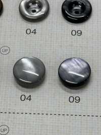 FM304 DAIYA BUTTONS Shell-like Polyester Button DAIYA BUTTON Sub Photo