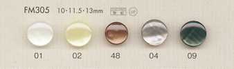 FM305 DAIYA BUTTONS Shell Polyester Buttons