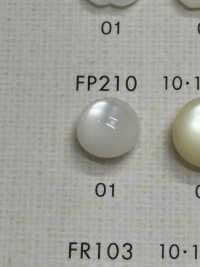 FP210 DAIYA BUTTONS Shell-like Polyester Button (Hemisphere) DAIYA BUTTON Sub Photo