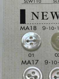 MA18 DAIYA BUTTONS Shell-like Polyester Button DAIYA BUTTON Sub Photo