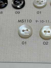 MS110 DAIYA BUTTONS Shell-like Polyester Button DAIYA BUTTON Sub Photo