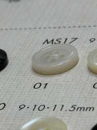 MS17 DAIYA BUTTONS Shell-like Polyester Button DAIYA BUTTON Sub Photo