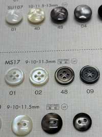 MS17 DAIYA BUTTONS Shell-like Polyester Button DAIYA BUTTON Sub Photo