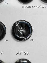 MY118 Polyester Resin 4-hole Button DAIYA BUTTON(DAIYA BUTTON) Sub Photo
