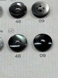 NRS110 DAIYA BUTTONS Shell-like Polyester Button DAIYA BUTTON(DAIYA BUTTON) Sub Photo