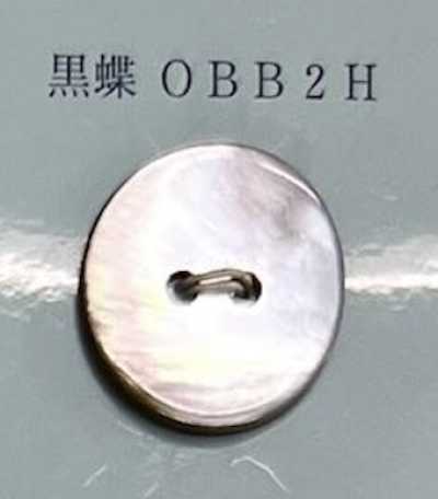 Two-hole Rimless Black Mother-of-pearl Shell Button