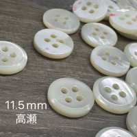 PH124 4 Shell Button Sakamoto Saji Shoten Sub Photo