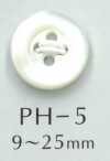 PH5 4 Hole Bordered Shell Button