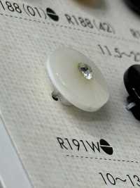 R191W Polyester Resin Buttons Sub Photo