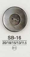 SB16 Shell Button