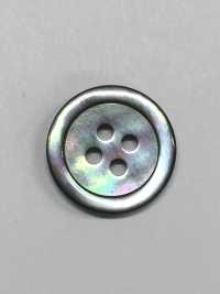 SB17 Main Shell Button- Mother Of Pearl Shell- IRIS Sub Photo