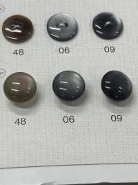 SC305 DAIYA BUTTONS Shell-like Polyester Button DAIYA BUTTON Sub Photo