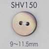 SHV150 2-hole Shell Button