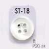ST18 Shell Shell 4-hole Button