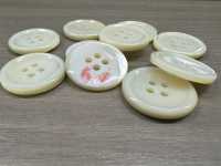 ST180 Shell Shell 4-hole Button IRIS Sub Photo