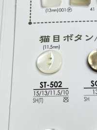 ST502 Shell Shell 2 Front Hole Button IRIS Sub Photo