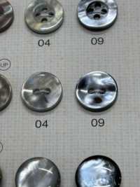 SU104 DAIYA BUTTONS Shell-like Polyester Button DAIYA BUTTON Sub Photo