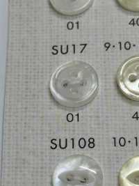 SU17 DAIYA BUTTONS Shell-like Polyester Button DAIYA BUTTON Sub Photo