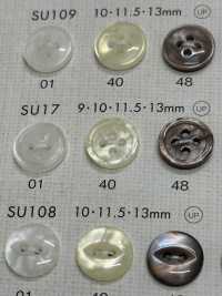 SU17 DAIYA BUTTONS Shell-like Polyester Button DAIYA BUTTON Sub Photo