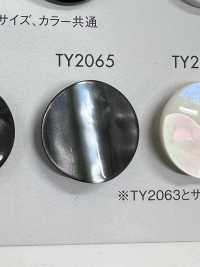 TY2065 Polyester Resin Buttons DAIYA BUTTON(DAIYA BUTTON) Sub Photo