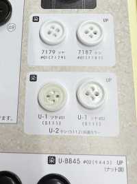 U1 [Nut Style] 4-hole Button With Border, Glossy, For Dyeing NITTO Button Sub Photo