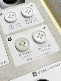U1 [Nut Style] 4-hole Button With Border, Glossy, For Dyeing NITTO Button Sub Photo